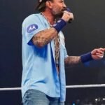 CM Punk WWE Smackdown Punkanomic Jersey Blue