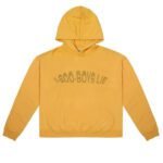 1-800-Boys-Lie Hoodie