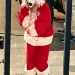 Terrifier 3 Santa Claus Costume Suit Red