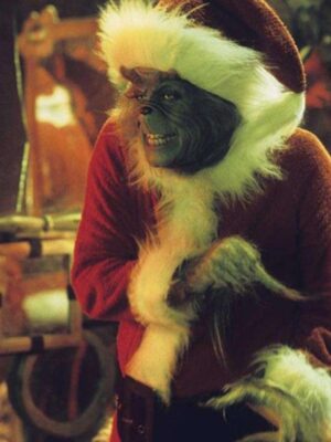 The Grinch Adult Christmas Costume